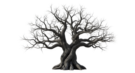 Mystical bare tree with gnarled branches reaching up, perfect for fantasy illustrations and atmospheric designs, invoking a sense of ancient wonder