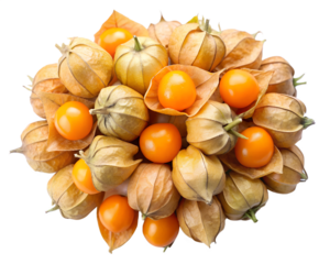 autumn still life with fruits isolated on white background. PNG Transparent file type with high definition quality And vibrant color grading Available.