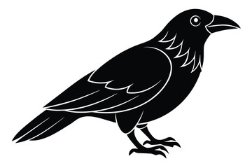 Obraz premium raven vector icon