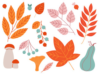 Obraz premium Autumn set with leaves, berries and mushrooms in delicate bright colors