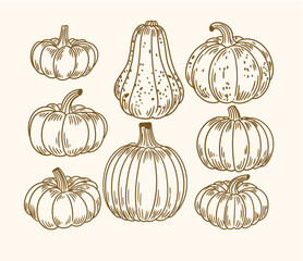 Set of original hand-drawn illustrations of autumn Halloween pumpkins in a minimalist style. Vector illustrations for posters, cards, and graphic design.