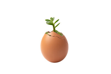 a small plant growing out of an egg shell