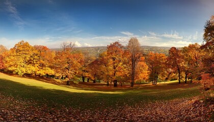 Naklejka premium a panoramic view showcasing the beauty of autumn aesthetics
