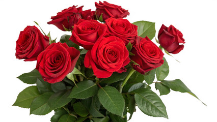 bouquet of red roses