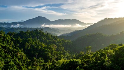 Fototapeta premium Lush valley with mountains and mist at sunset
