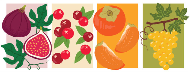 Set of Four Vector Illustrated Autumn Fruit Posters – Figs, Raspberries, Persimmons, and Grapes