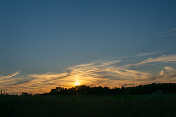 swirling clouds over the trees at sunset