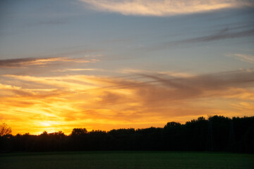 swirling clouds over the trees at sunset