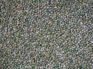 Dried green peas in a close-up, flat pattern. Decorative texture for versatile use. -Copyspace