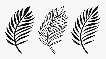 Obraz premium Three stylized black and white palm fronds on a white background