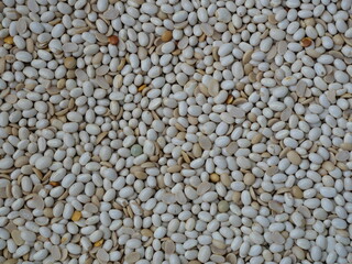 Dried white beans in a close-up, flat pattern. Decorative texture for versatile use. Copyspace