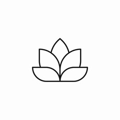 lotus flower blossom icon sign vector