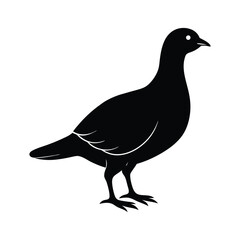 pigeon silhouette vector