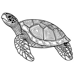 Detailed sea turtle line drawing with intricate shell and flipper patterns