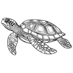 Cute sea turtle with detailed shell and flippers © Anditii Creative