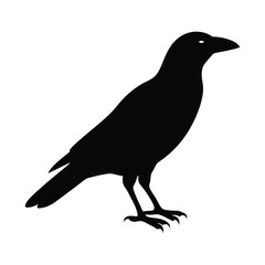 silhouette of a crow