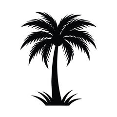 Obraz premium Tropical palm tree silhouette with grass