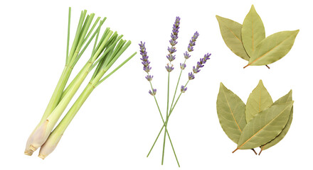 Obraz premium Fresh herbs including lemongrass, lavender, and bay leaves arranged beautifully on a clean background, ideal for culinary use