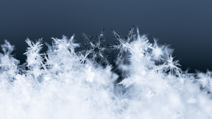 snowflakes, winter card, crystals of snow