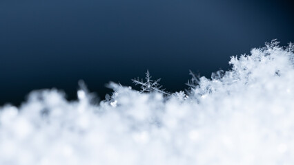 snowflakes, winter card, crystals of snow