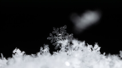 snowflakes, winter card, crystals of snow
