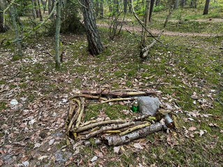 Abandoned soldier's graves from 1945 in the forest between Grzybowo and Dzwirzyno on the Baltic Sea in Poland