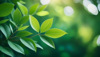 defocused abstract blur image of green leaves suitable for botanical and tropical themed designs