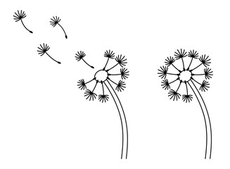 Dandelion Seeds Blowing in the Wind Outline Clipart Illustration on a Transparent Background
