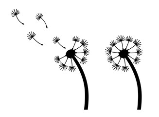 Dandelion Seeds Blowing in the Wind Silhouette Stamp Clipart Illustration on a Transparent Background