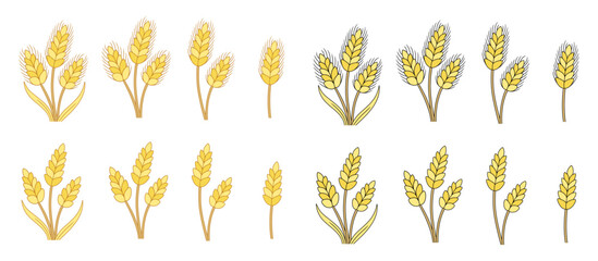 Colorful Wheat Plant Clipart Illustrations with Different Grass Arrangements