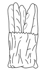 Line art illustration of some baggette bread in a paper bag. Take away food