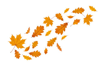 Falling Yellow and Orange Leaves Design