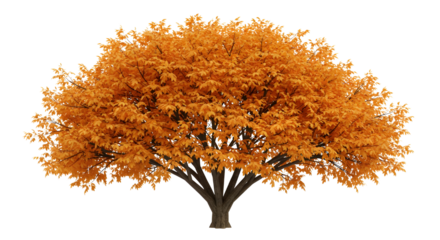 Golden Autumn Tree Artwork