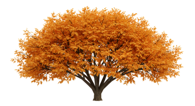 Golden Autumn Tree Artwork