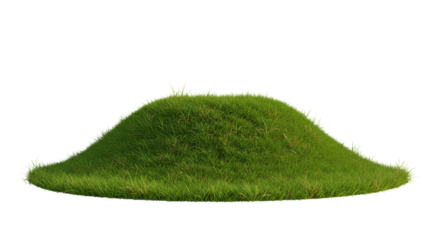 A solitary, undulating hill of vibrant lush green grass with detailed blades and subtle golden-brown patches, full object, against immaculate transparent seamless studio background with even lighting,