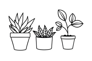 Obraz premium Potted Plants Clipart Botanical Doodle Vector Set