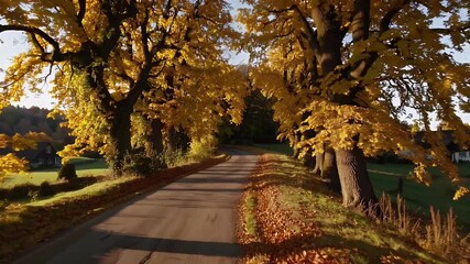 Capture serenity quiet village road framed golden autumn trees presented smooth high resolution loop ideal conveying warmth nature peaceful seasonal transitions scenic
