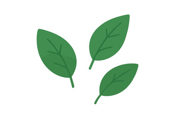 Fototapeta premium Green eco icon, nature plant, recycle organic symbol, ecology label, leaf circle, environment emblem, zero waste, biodegradable recyclable plastic free package concept, sprout herb illustration