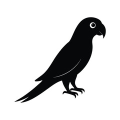 vector illustration of a bird