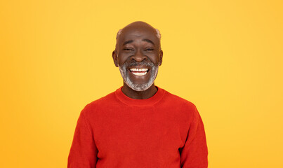 Radiant glad senior african american man with a white beard, sporting a red sweater and a beaming...