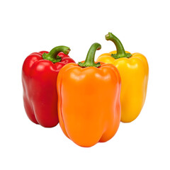 Vibrant mini sweet peppers in red orange yellow colors neatly arranged and centered on a white background