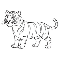 vector illustration of cartoon tiger
