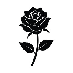 rose vector illustration