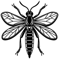 Vector art of a detailed black and white wasp illustration isolated on white background
