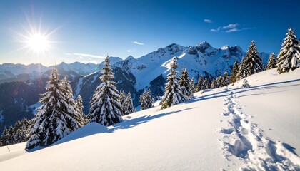 Winter mountain landscape with snow-covered trees