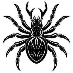 Vector art of a menacing spider with ornate markings isolated on white background