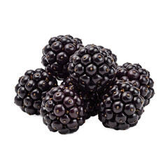 Fresh ripe blackberries glistening against a white background showcasing their vibrant hues and irresistible appeal