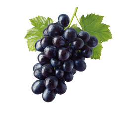 Fototapeta premium A close-up shot of a bunch of ripe, juicy grapes, captured against a simple backdrop with a few leaves attached. The grapes are a deep, rich color