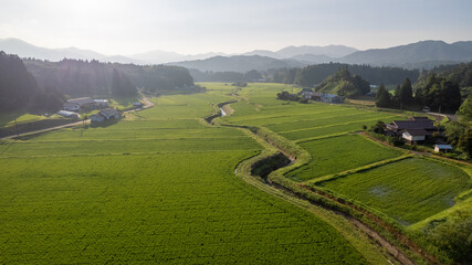 Obraz premium 棚田の風景
