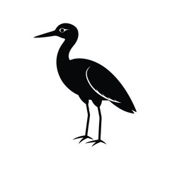 Fototapeta premium a bittern bird full black silhouette vector illustration on white background